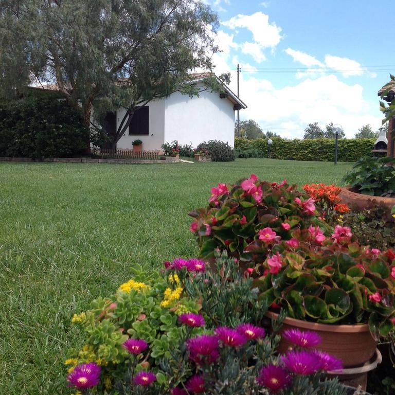 Agriturismo Belvedere Pescia Romana Luaran gambar